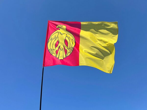 Прапори Кіровоградської області