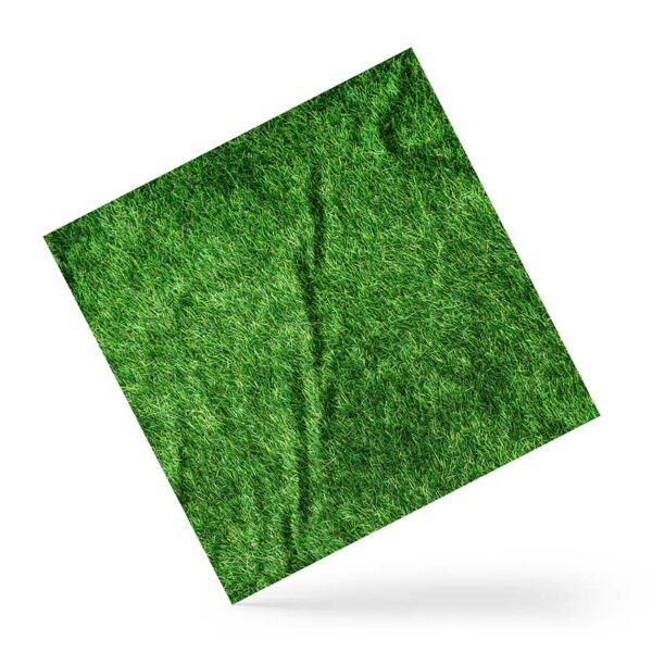 Хустка з принтом «Зелена трава. Green grass»