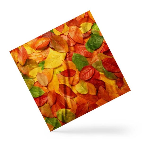 Хустка «Осіннє листя. Autumn leaves»